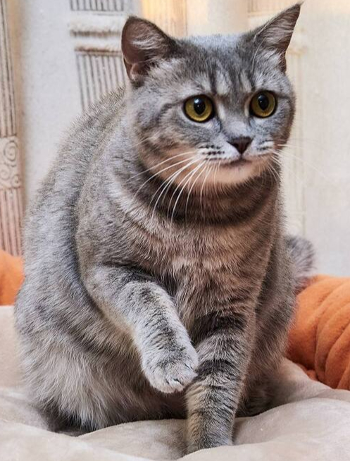  ? ,   ,  , ,  ,  , ,  , , , , ,  ,  , , ,  ,  , 