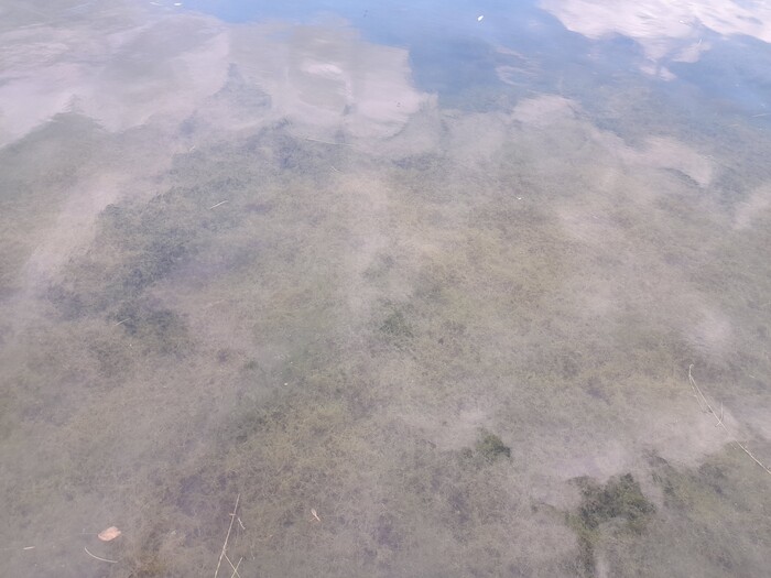 Большой Дворцовый пруд