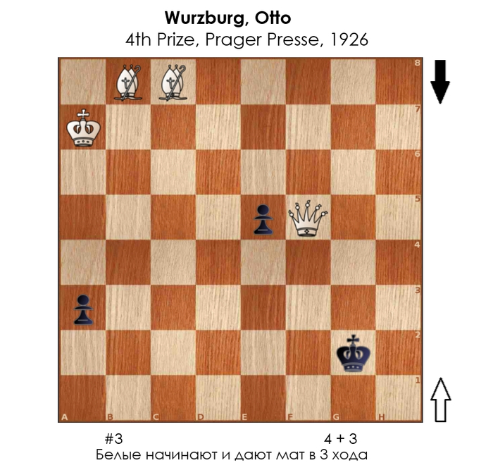  #206 ,  , , 