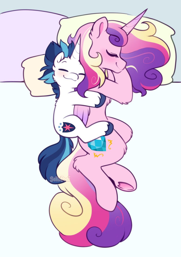   My Little Pony, Shining Armor, Princess Cadance