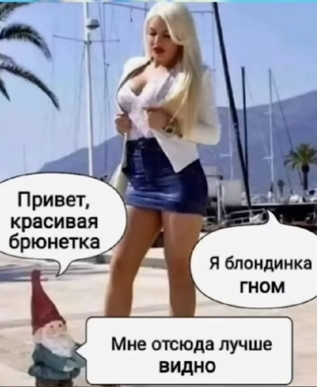     ,  ,   ,  , 