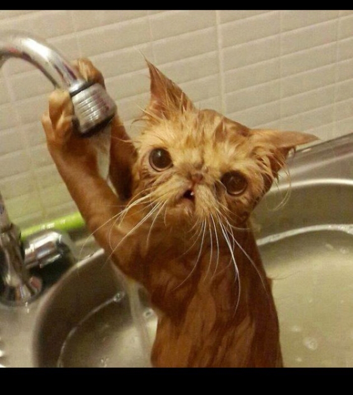     , , , , 