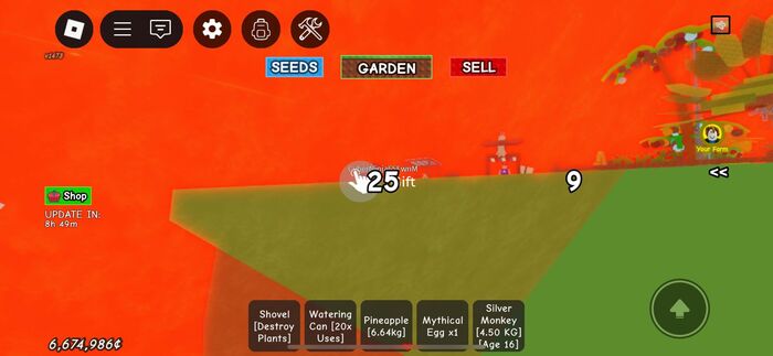 ������� � ���� � ������ 23 ������� � � ���?