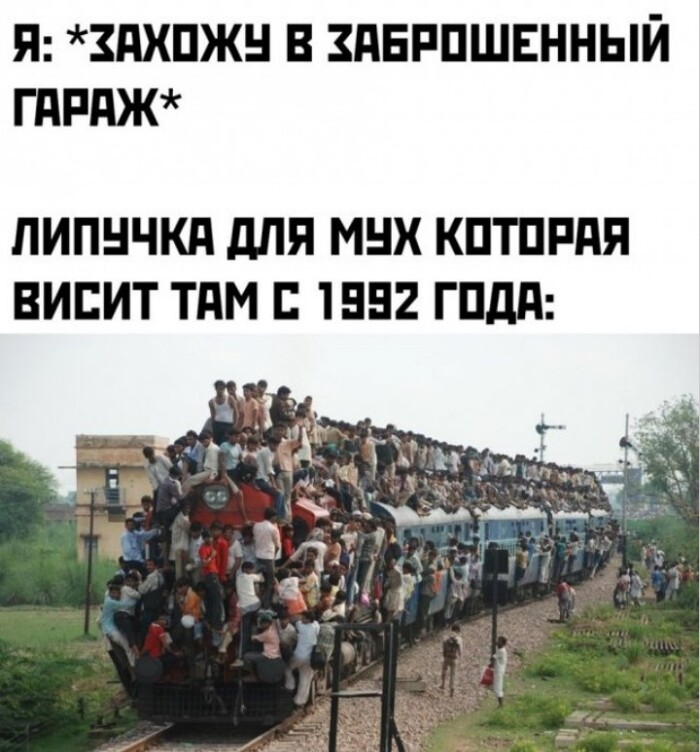       , ,  90-, , Telegram ()