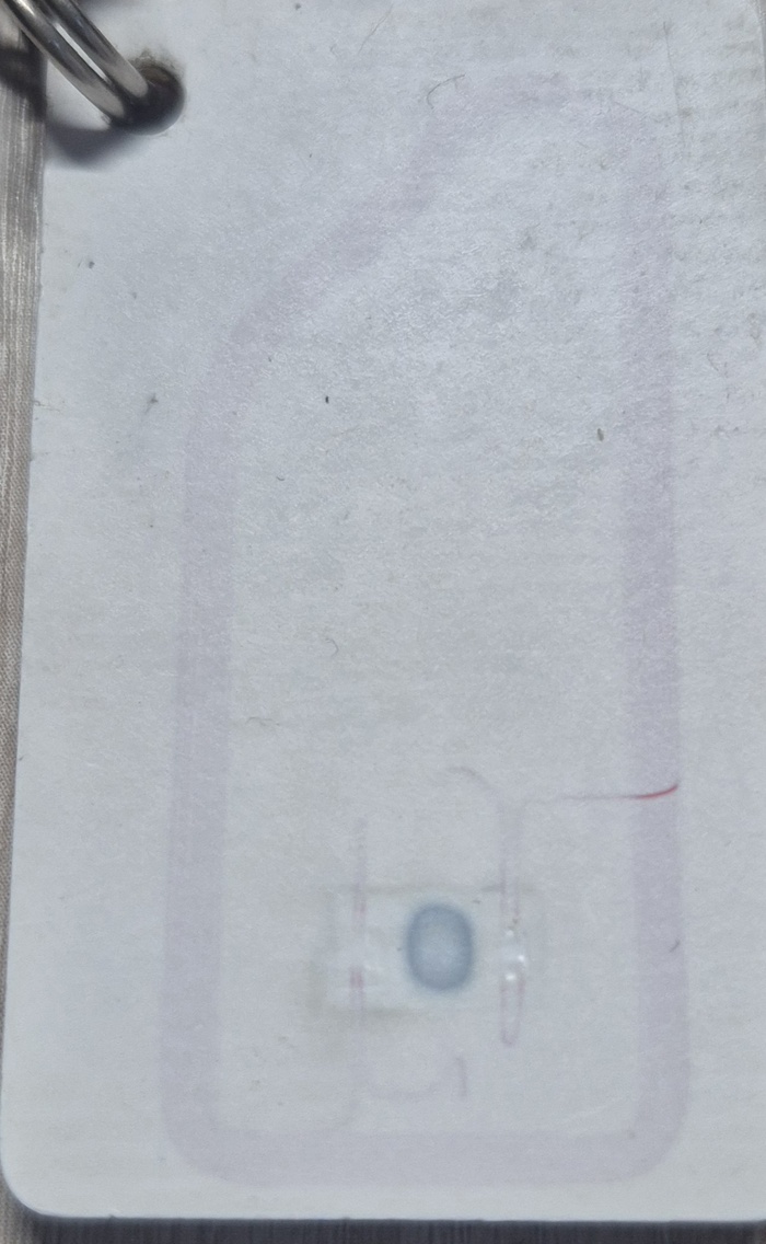    ,  , 