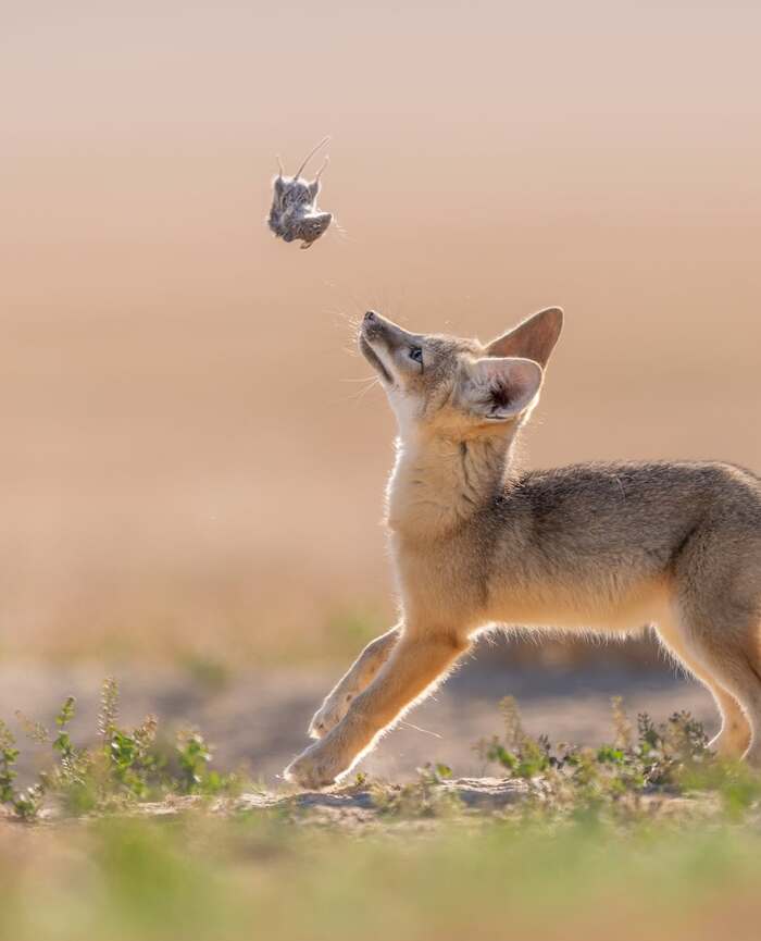 ������ ������ � ���������