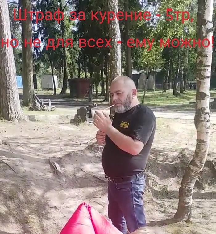    ,            ,        ,              ,     