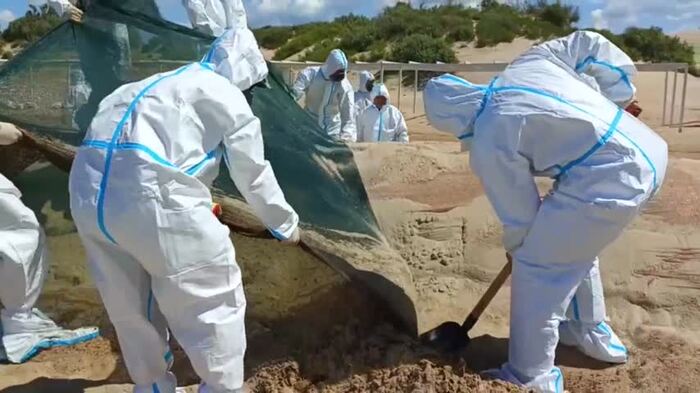 Анапа демонтирует защитный вал