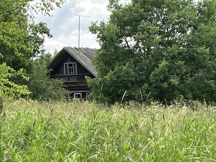 ,      ,  25 ,   , ,    ,        .