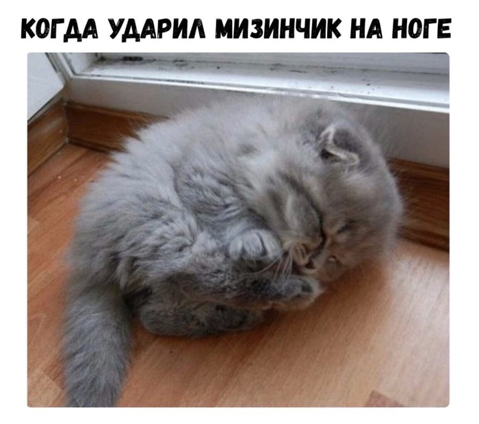 Когда ударился мизинчиком на ноге