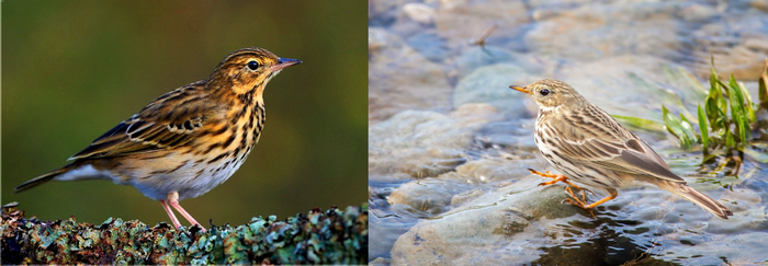     ,    .    , , ,     40 .  ,      ,    .