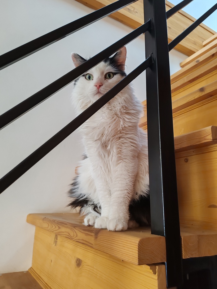     , , ,  , , , , , , ,   , 
