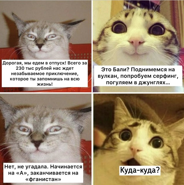        ,      230    , , , , Telegram (),  ()