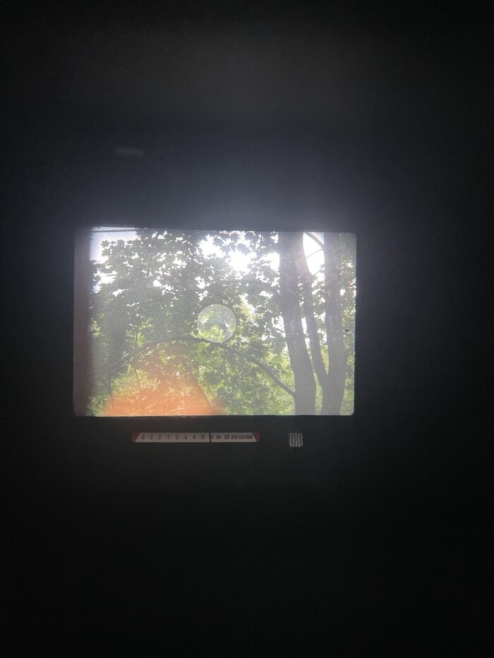 снизу шкала выдержек, и еще правее окошко - показывает диафрагму на объективе через призму. Но у меня пока стоит объектив 300мм, и у него шкала в другом месте, поэтому тут видно кольцо крепления объектива)