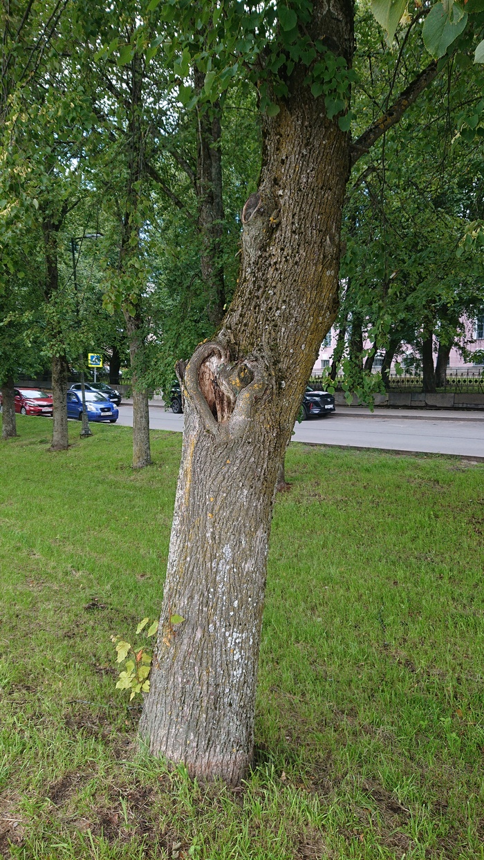    , , , 