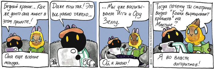 Котейкины Новости от 08.07.2025