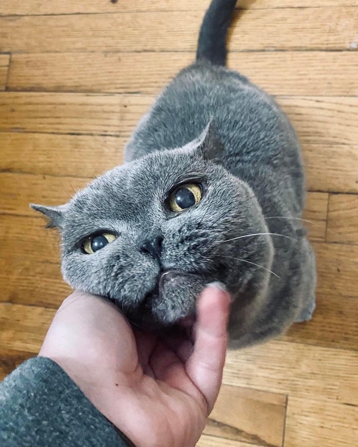  ADME, , 