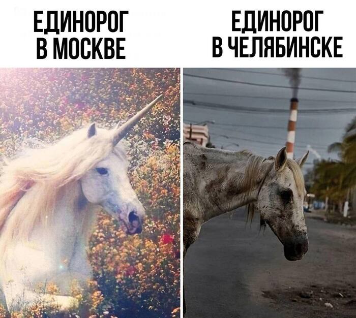 Дааа.. помотало его знатно, зато сразу видно — наш