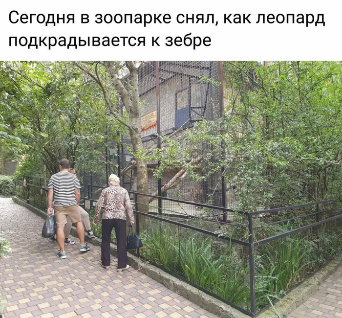 mnwrdsro.webp