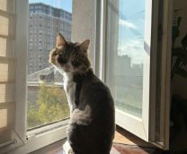 ����� � ���