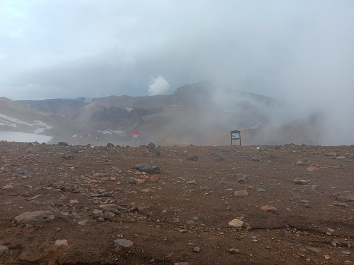 Фото: Мария Никитина