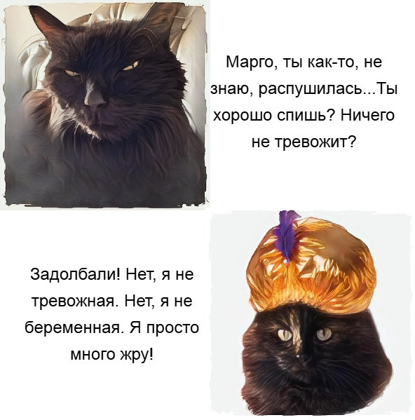   , , , ,   