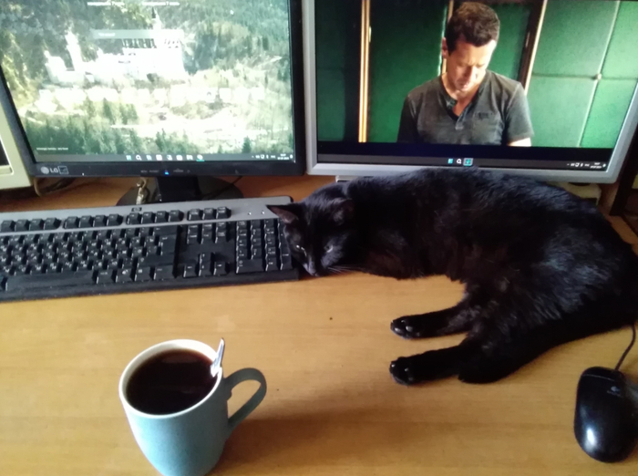 жить тут буду