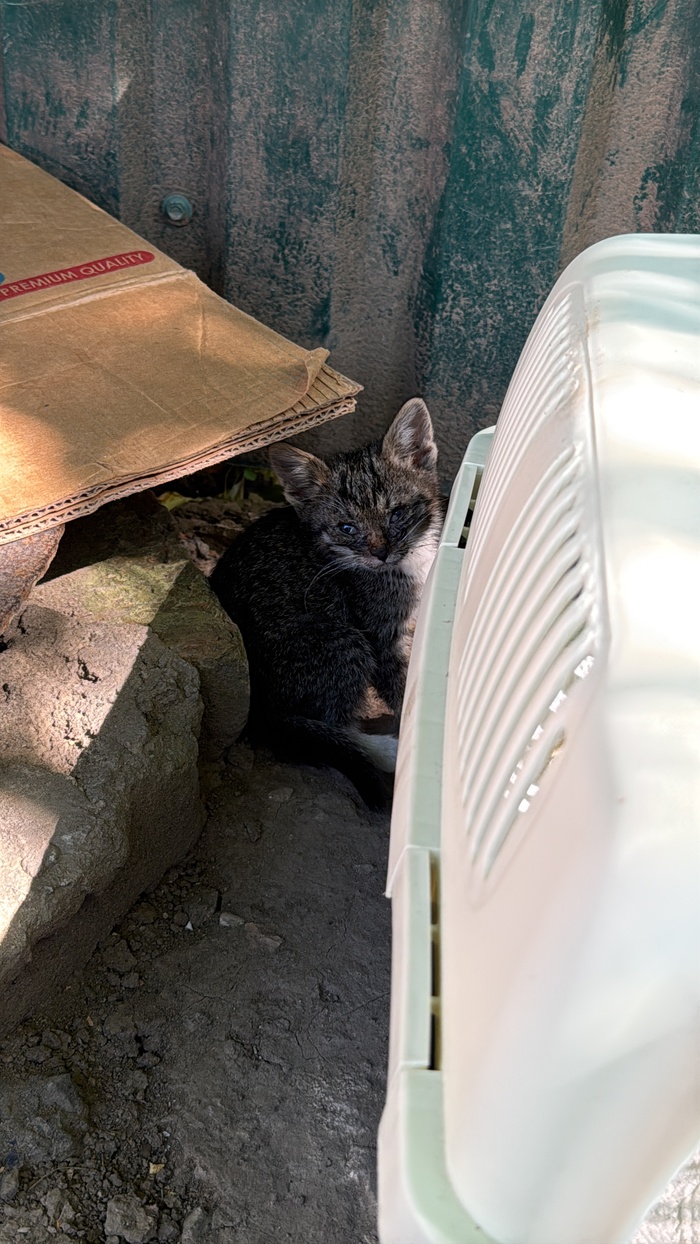 .    !        8(901)381-69-12   @Katrii_n.