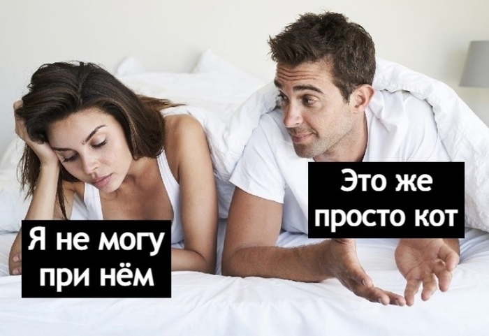    -  , , ,   