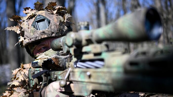 Фото из свободных источников