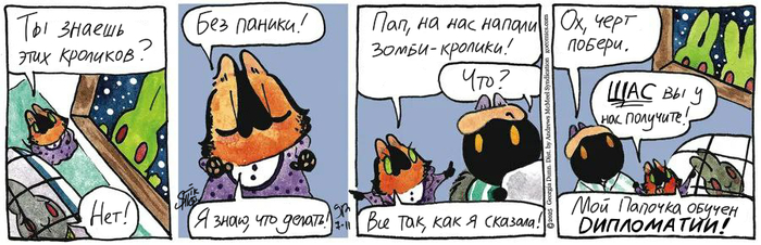 Котейкины Новости от 11.07.2025