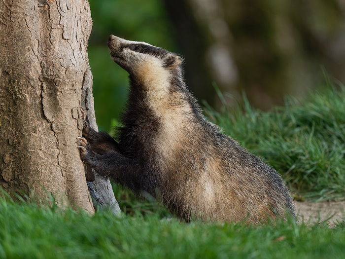   ,    ,   -!      ,       .