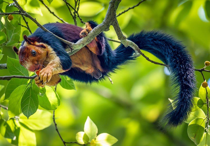 Мужчина в самом расцвете сил :)
