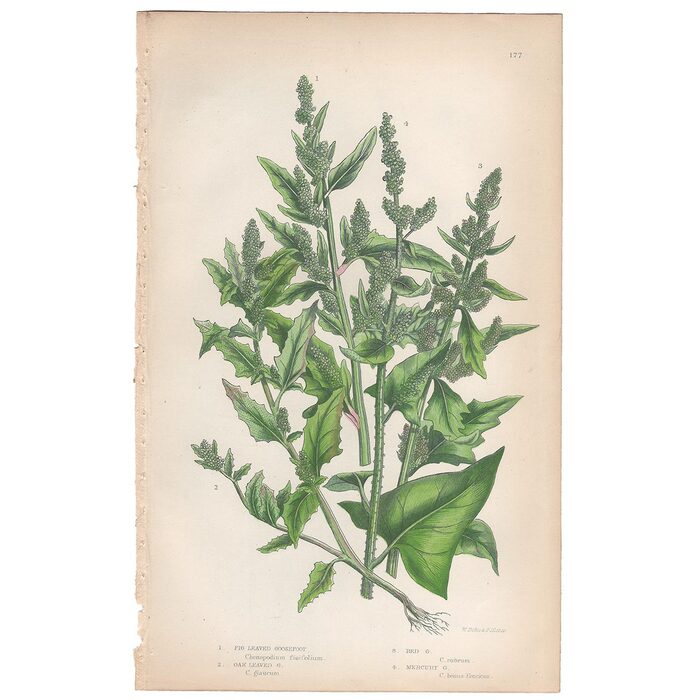   .    <!--noindex--><a href="https://pikabu.ru/story/khudozhnitsa_yenn_pratt_12975196?u=http%3A%2F%2Fdoverhistorian.com&t=doverhistorian.com&h=515d4eb4f9348ed9381cf90ad53ea67642440bbc" title="http://doverhistorian.com" target="_blank" rel="nofollow noopener">doverhistorian.com</a><!--/noindex-->.