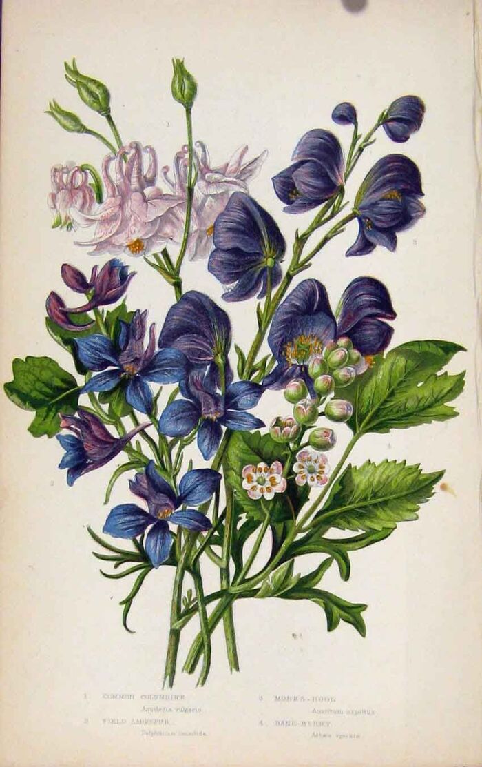       ,  .    <!--noindex--><a href="https://pikabu.ru/story/khudozhnitsa_yenn_pratt_12975196?u=http%3A%2F%2Fsummerweeds.com&t=summerweeds.com&h=a4fc24740d8387736fab9827c850b1aaae75138e" title="http://summerweeds.com" target="_blank" rel="nofollow noopener">summerweeds.com</a><!--/noindex-->.