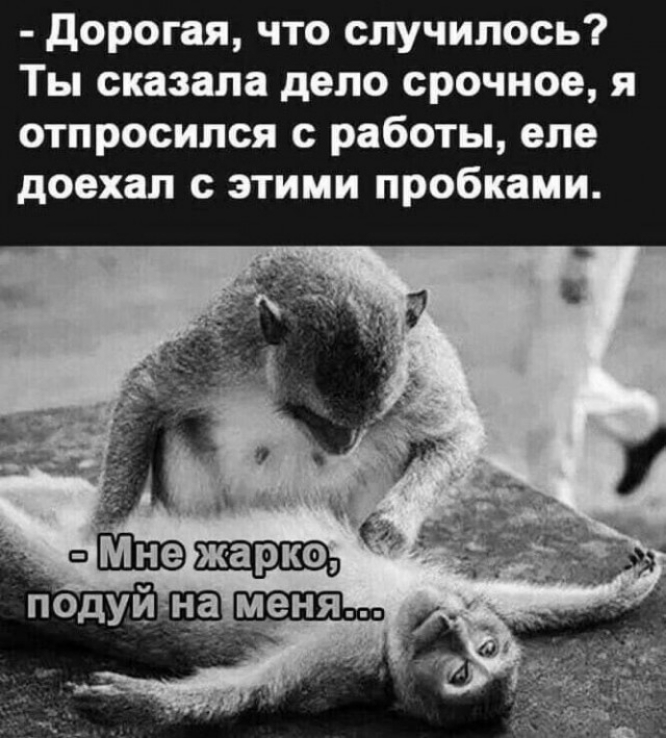  ,   , , , , 