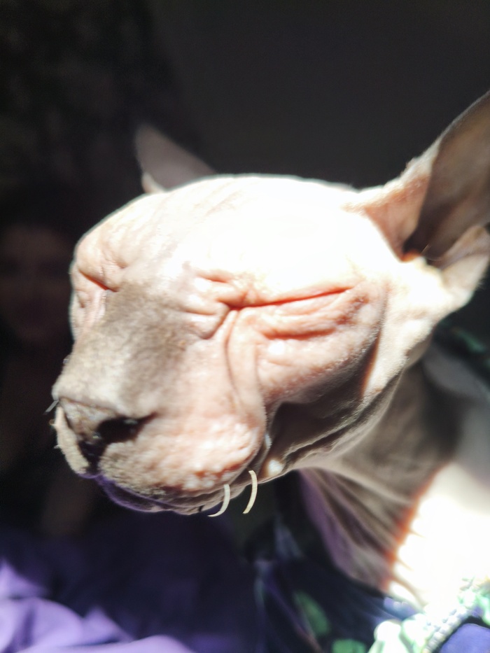       ?      ,  , , 