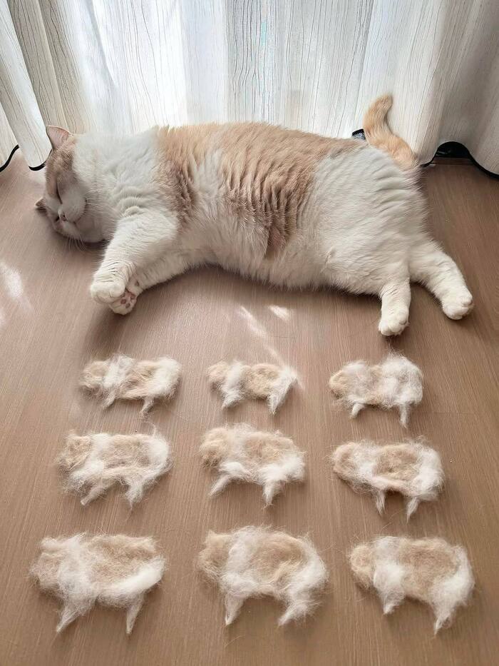  , 