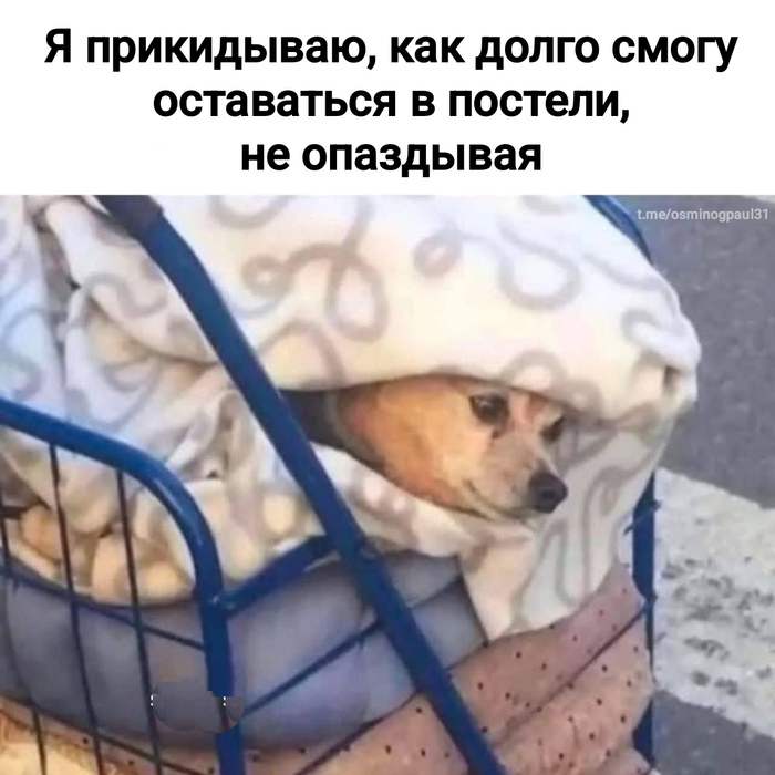 �������� � �������