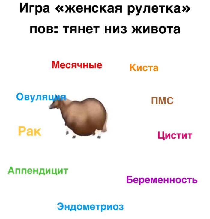   , ,  , Telegram ()