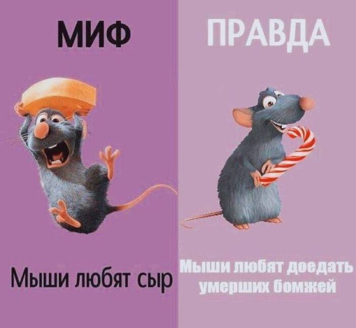    , , , ,  , Telegram ()