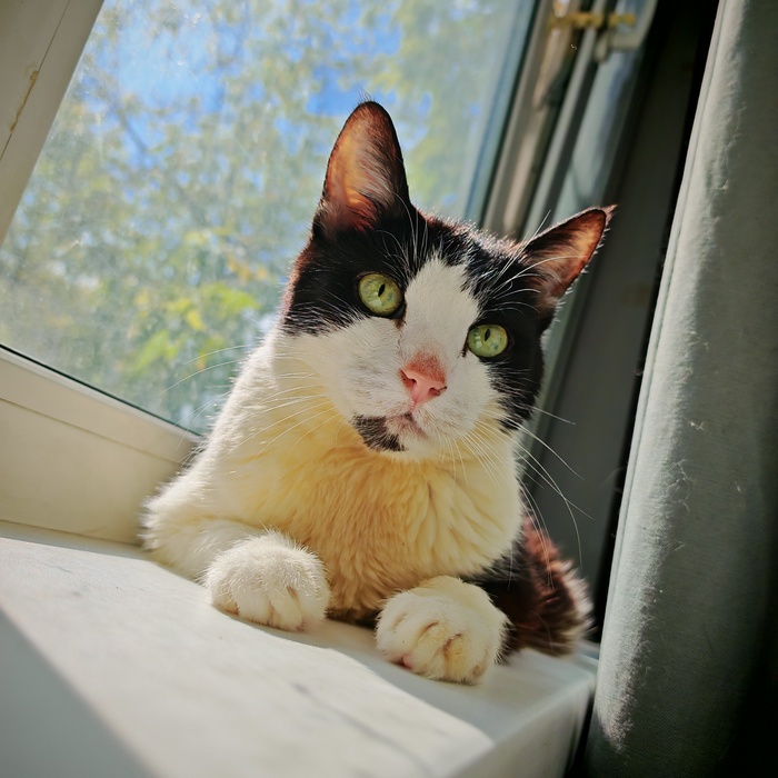 Доброе жаркое утро!