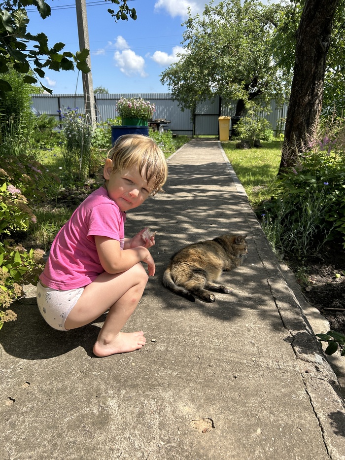       .        ,        .    .    ,        . 