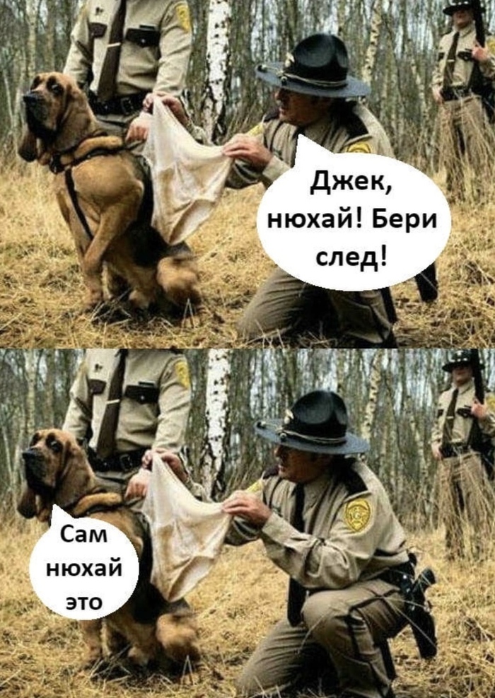         , , 