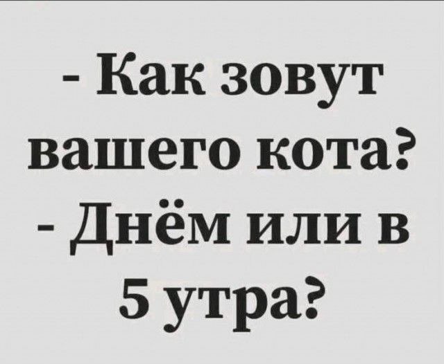            , , , , , , 