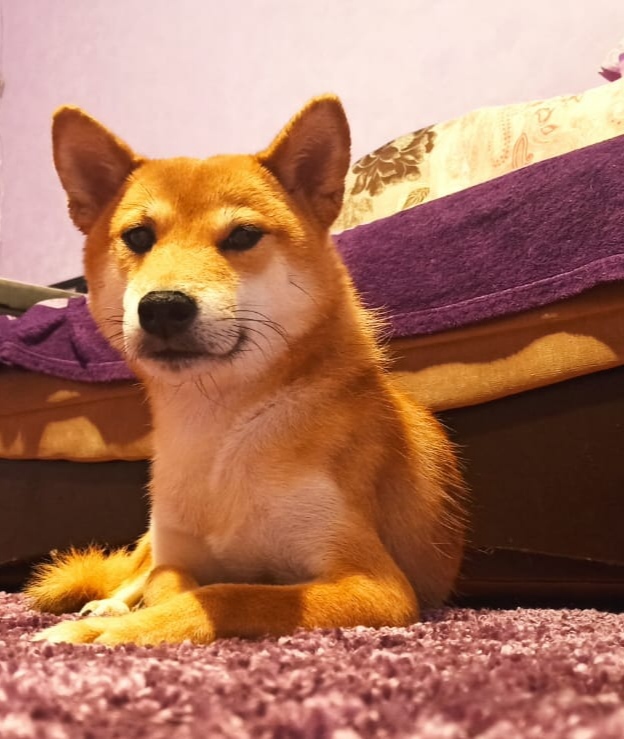  ,   ,  ,  , , , , -