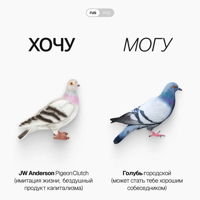 101000₽ - нужно немного сноровки или сеть.