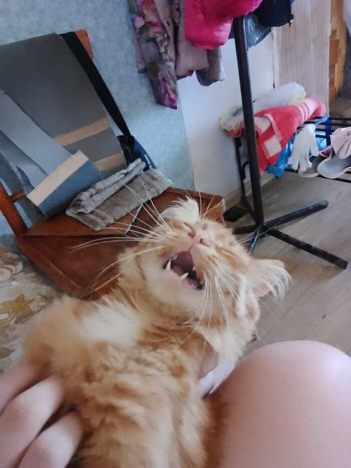  ! , , 
