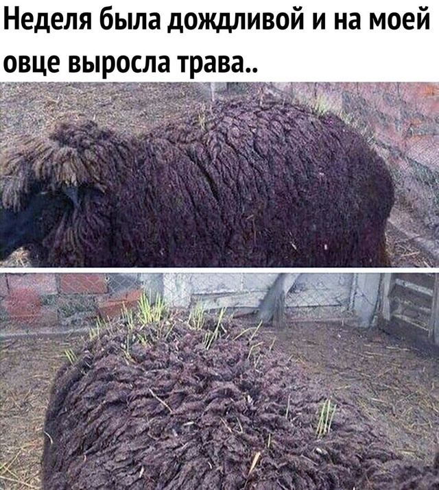    , , , , , 
