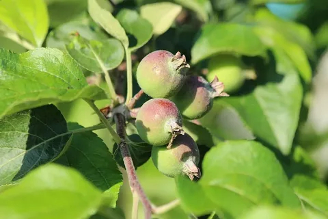      , , , , ,  ,   